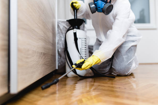 Best Exterminator Services  in Granvle, IL