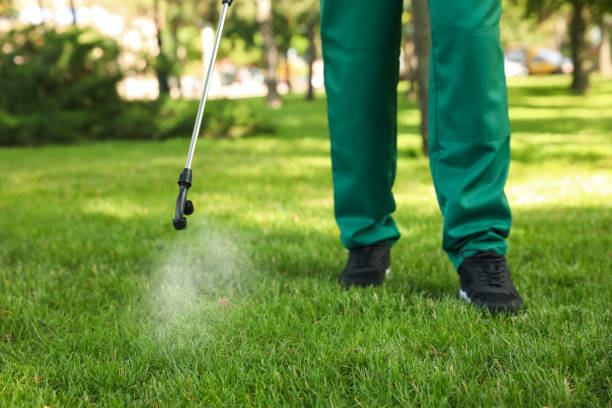 Best Ant Control Services  in Granvle, IL