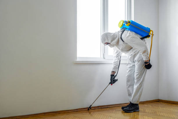 Reliable Granville, IL Pest Control Solutions