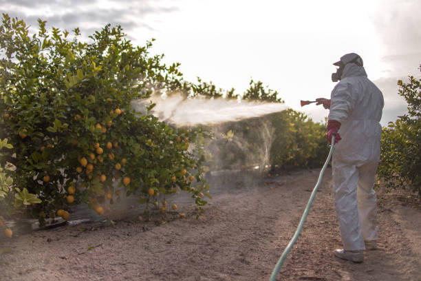Best Commercial Pest Control Services  in Granvle, IL