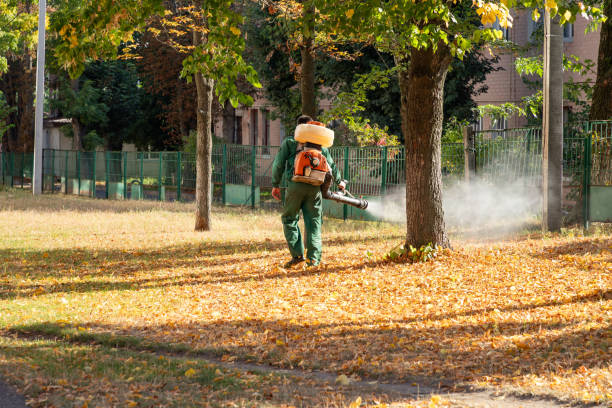 Pest Control for Restaurants in Granville, IL